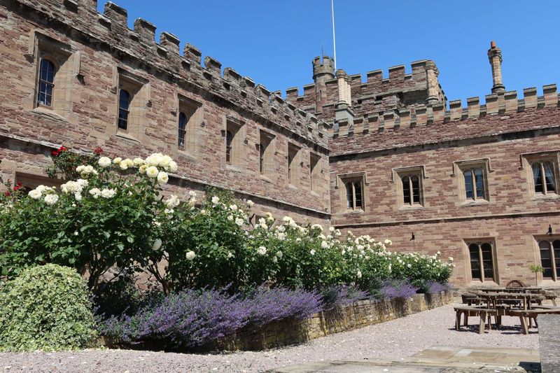 Arkwright Courtyard in summer with blue skies and in bloom
